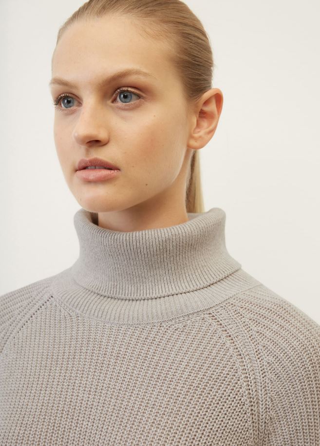 Dress, longsleeve, turtle neck